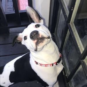 Meet your Posher, Levi